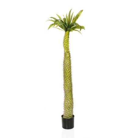 Artificial Coconut Palm Tree Artificial Trees & Plants Smithers of Stamford £180.00 Store UK, US, EU, AE,BE,CA,DK,FR,DE,IE,IT...