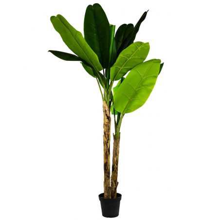 Banana Tree Artificial Trees & Plants  £237.00 Store UK, US, EU, AE,BE,CA,DK,FR,DE,IE,IT,MT,NL,NO,ES,SEBanana Tree product_re...