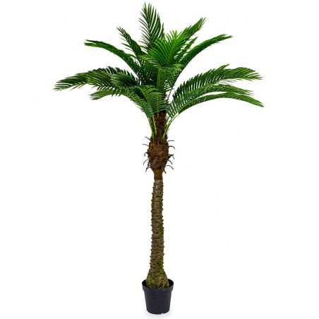 Artificial Coconut Palm Tree Artificial Trees & Plants Smithers of Stamford £180.00 Store UK, US, EU, AE,BE,CA,DK,FR,DE,IE,IT...