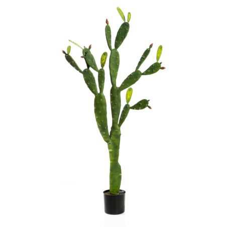 Artificial Desert Cactus Plant This And That  £159.00 