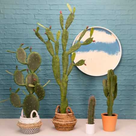 Artificial Desert Cactus Plant This And That  £159.00 