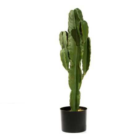 Artificial Desert Cactus Plant This And That  £159.00 