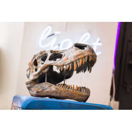 T - Rex Dinosaur Skull Head Retro Ornaments Smithers of Stamford £116.33 