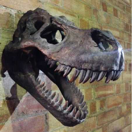 T - Rex Dinosaur Skull Head Retro Ornaments Smithers of Stamford £116.33 