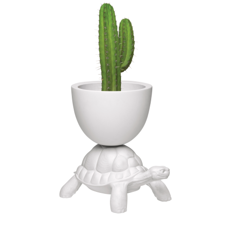 Turtle Carry Planter/ Champagne Cooler Qeeboo  £366.00 Store UK, US, EU, AE,BE,CA,DK,FR,DE,IE,IT,MT,NL,NO,ES,SETurtle Carry P...