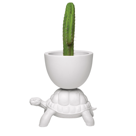 Turtle Carry Planter/ Champagne Cooler Qeeboo  £366.00 Store UK, US, EU, AE,BE,CA,DK,FR,DE,IE,IT,MT,NL,NO,ES,SETurtle Carry P...