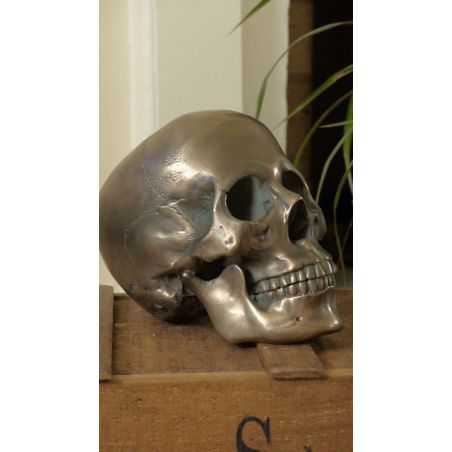 Skeleton Skull Head Unique Gifts Smithers of Stamford £48.00 