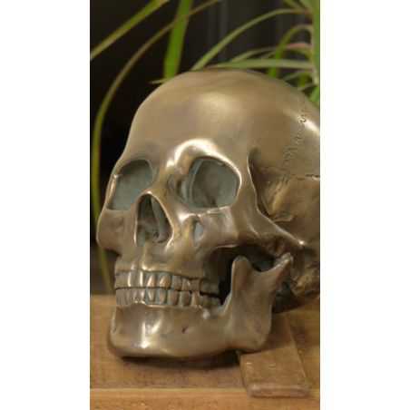 Skeleton Skull Head Unique Gifts Smithers of Stamford £48.00 