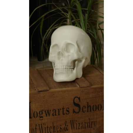 Skeleton Skull Head Unique Gifts Smithers of Stamford £48.00 