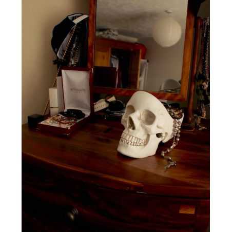 Skull Tidy, Suck Uk Unique Gifts Smithers of Stamford £41.00 