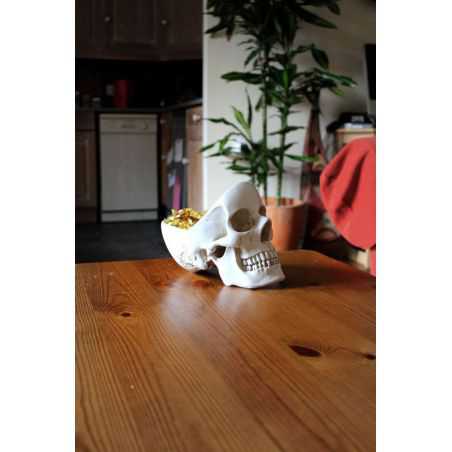 Skull Tidy, Suck Uk Unique Gifts Smithers of Stamford £41.00 