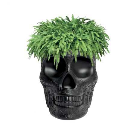 Skull Head Planter And Champagne Bucket Retro Ornaments  £257.00 