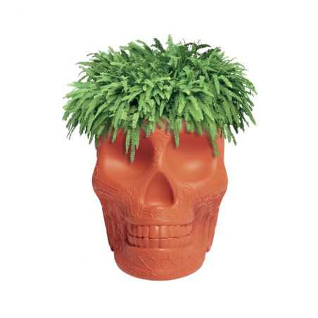 Skull Head Planter And Champagne Bucket Retro Ornaments  £257.00 