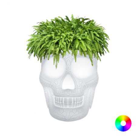 Skull Head Planter And Champagne Bucket Retro Ornaments  £257.00 