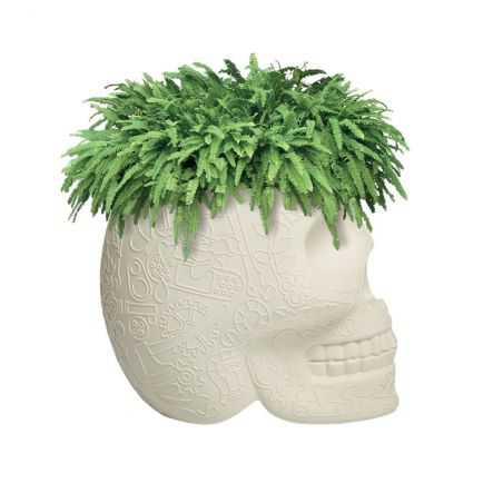 Skull Head Planter And Champagne Bucket Retro Ornaments  £257.00 